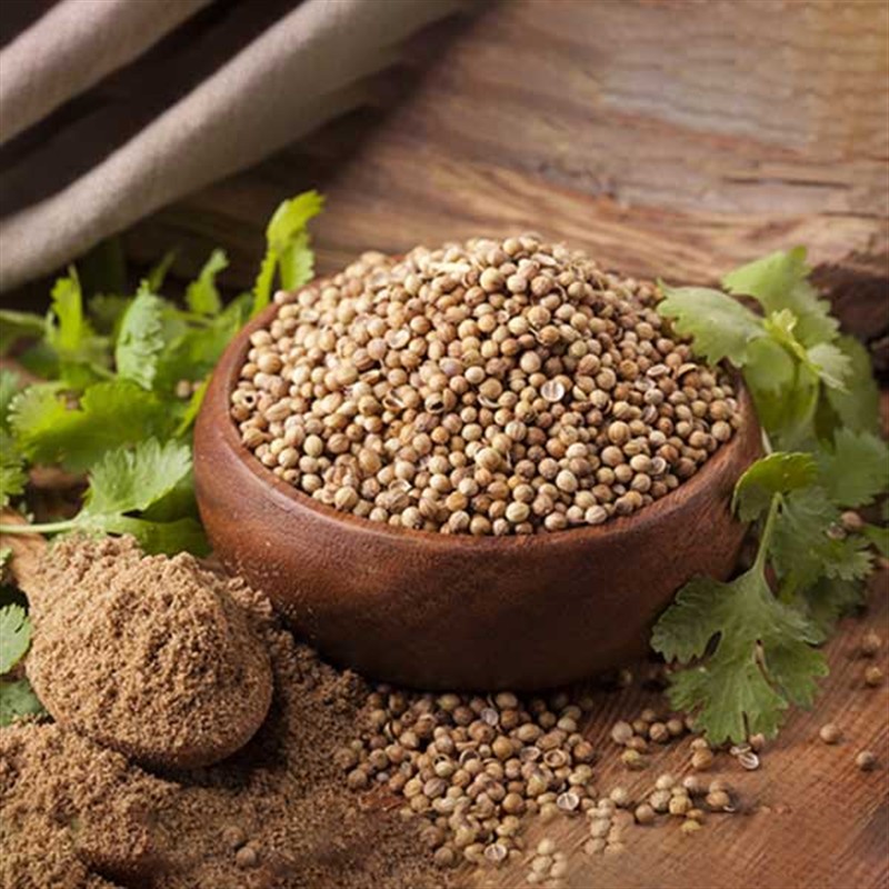 Coriander Seed (Dhaniya)