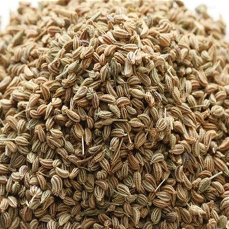 Ajvayan / Ajmo (Ajwain / Carom Seed)