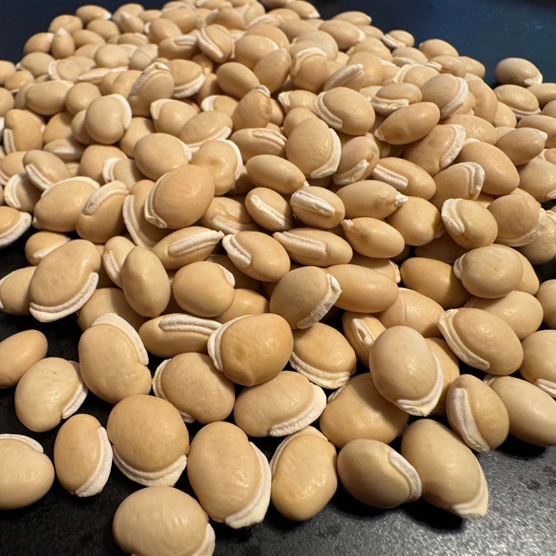 Val (Field Bean / Lablab Bean)