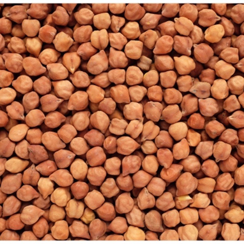 Chana (Chickpea / Garbanzo Bean)