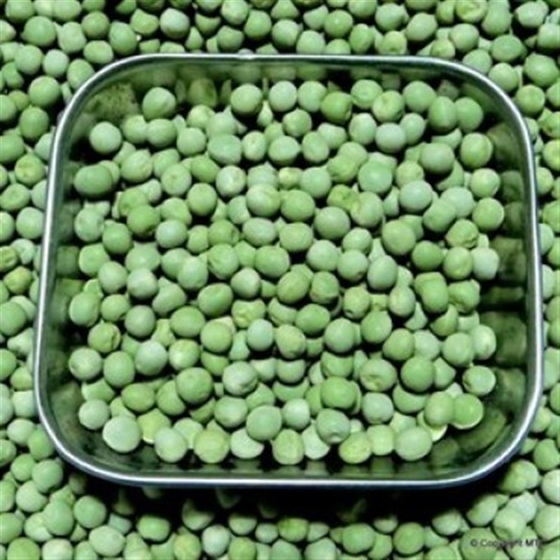 Mung Beans (Moong / Green Gram)